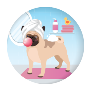 202411_MM_Animals-illustrations-01