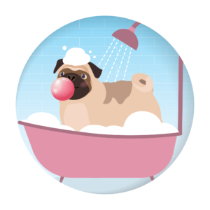 202411_MM_Animals-illustrations-05